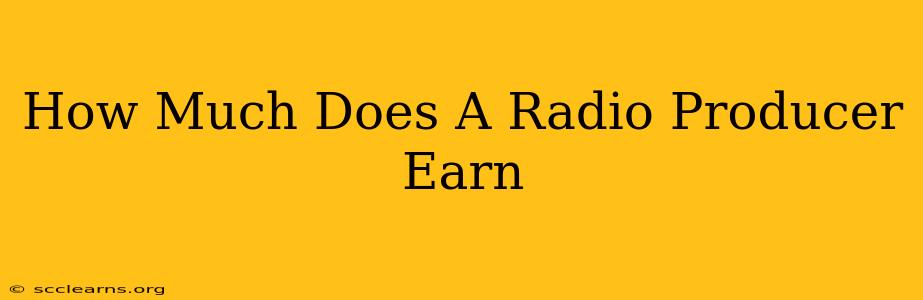 How Much Does A Radio Producer Earn