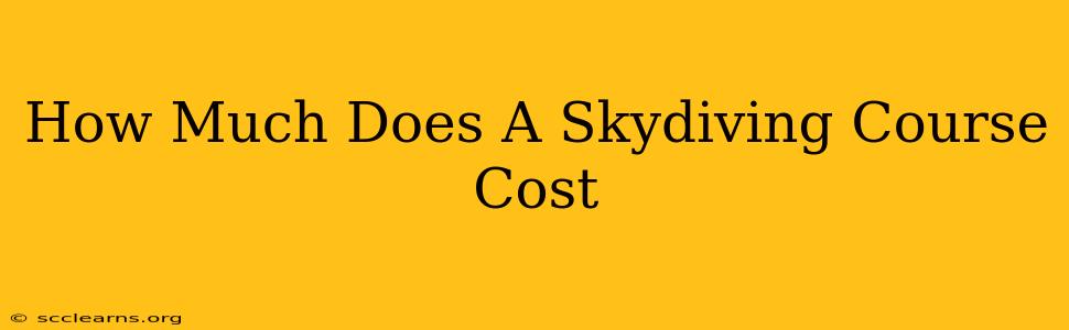 How Much Does A Skydiving Course Cost