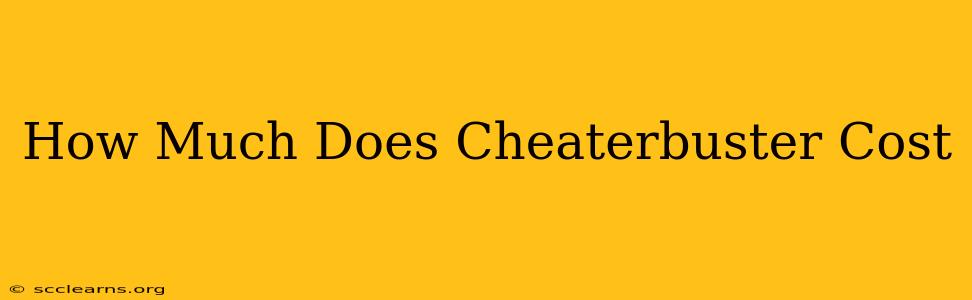 How Much Does Cheaterbuster Cost