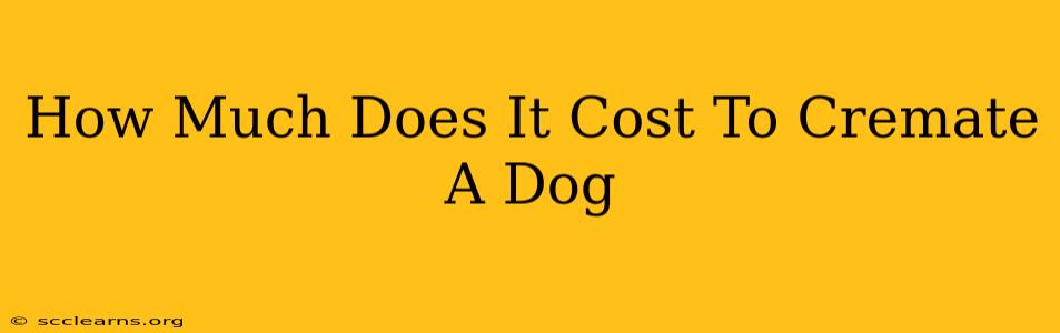 How Much Does It Cost To Cremate A Dog