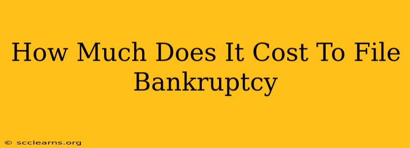 How Much Does It Cost To File Bankruptcy