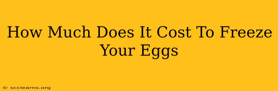 How Much Does It Cost To Freeze Your Eggs