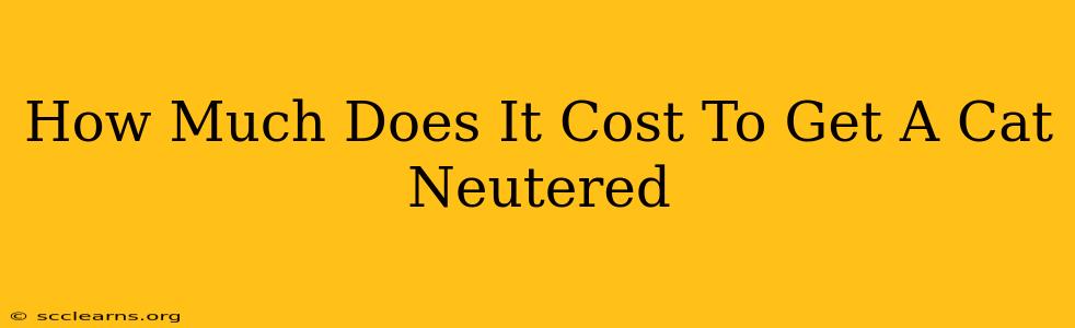 How Much Does It Cost To Get A Cat Neutered