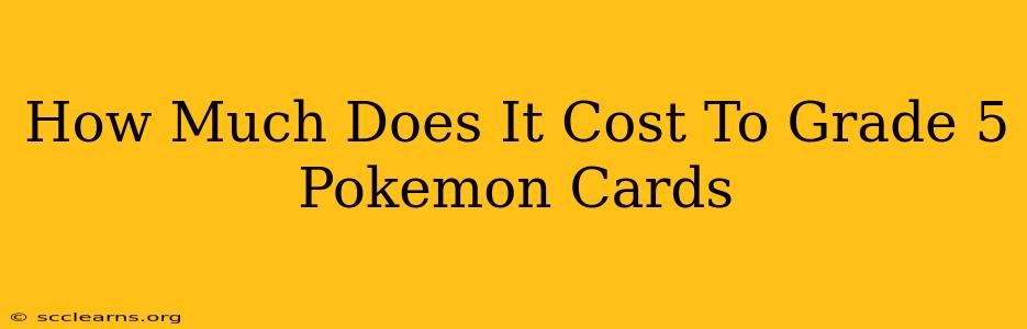 How Much Does It Cost To Grade 5 Pokemon Cards