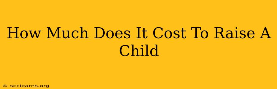 How Much Does It Cost To Raise A Child