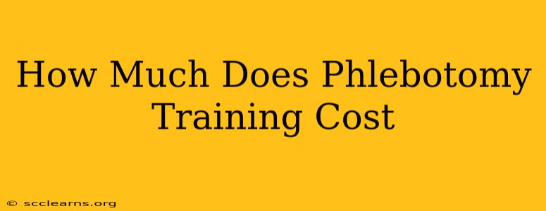 How Much Does Phlebotomy Training Cost