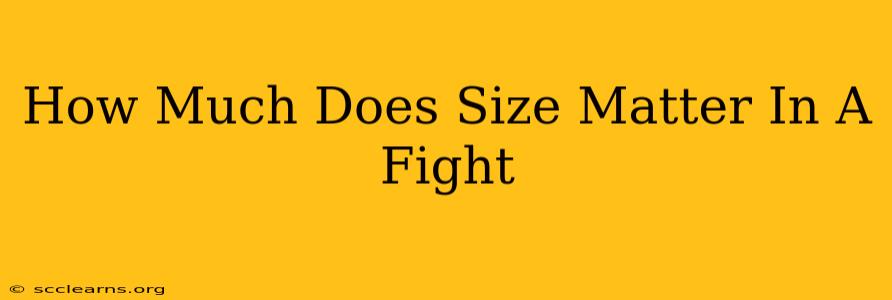 How Much Does Size Matter In A Fight