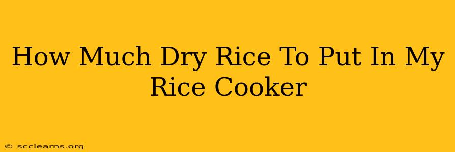 How Much Dry Rice To Put In My Rice Cooker