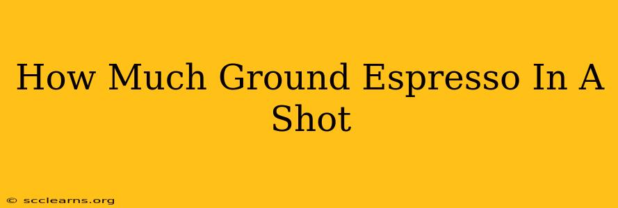 How Much Ground Espresso In A Shot