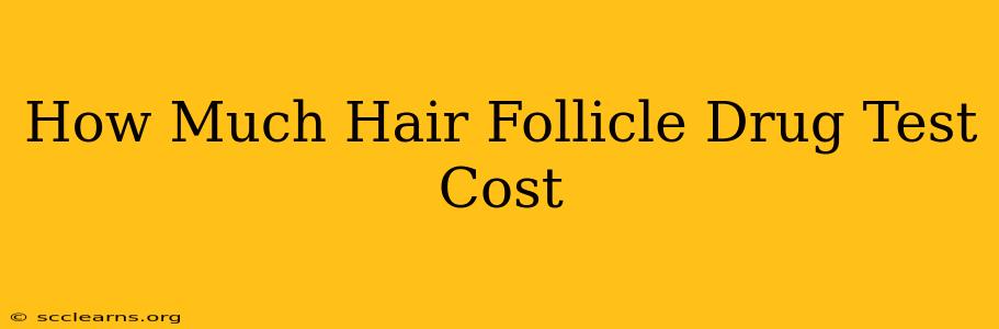 How Much Hair Follicle Drug Test Cost