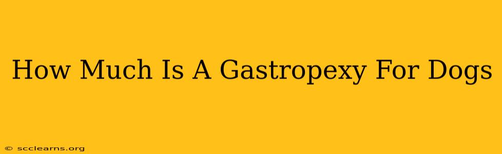 How Much Is A Gastropexy For Dogs