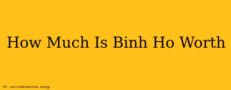 How Much Is Binh Ho Worth