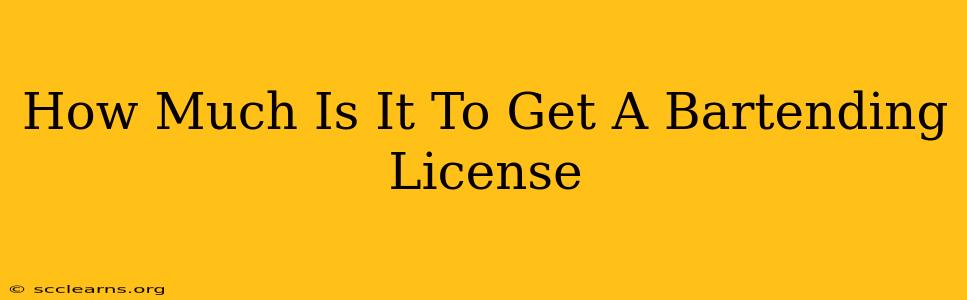 How Much Is It To Get A Bartending License