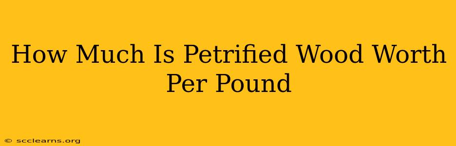 How Much Is Petrified Wood Worth Per Pound