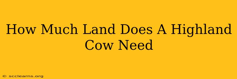 How Much Land Does A Highland Cow Need