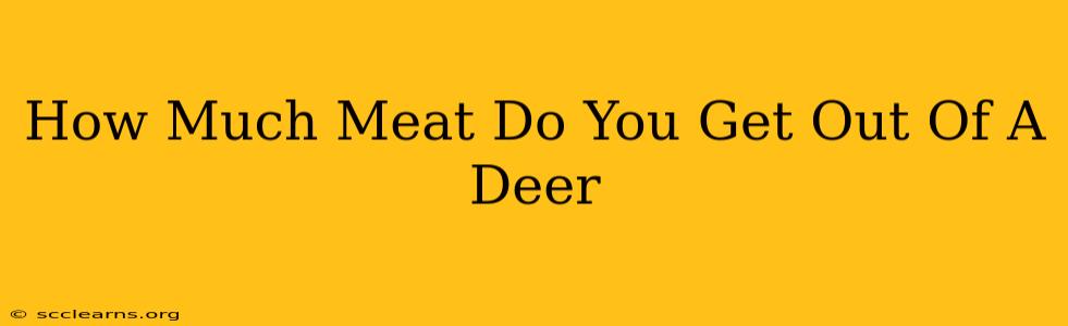 How Much Meat Do You Get Out Of A Deer