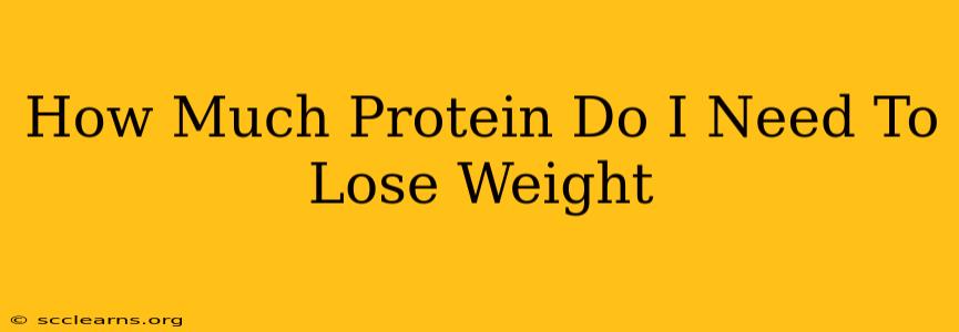 How Much Protein Do I Need To Lose Weight