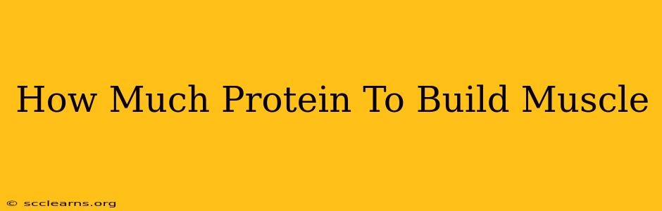 How Much Protein To Build Muscle