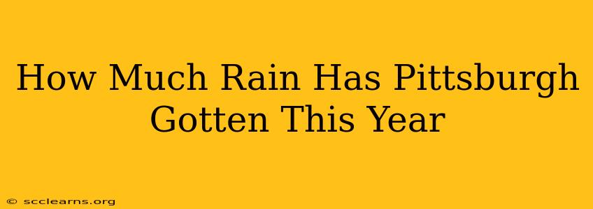 How Much Rain Has Pittsburgh Gotten This Year