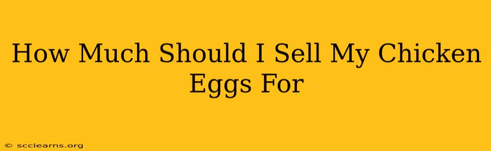 How Much Should I Sell My Chicken Eggs For