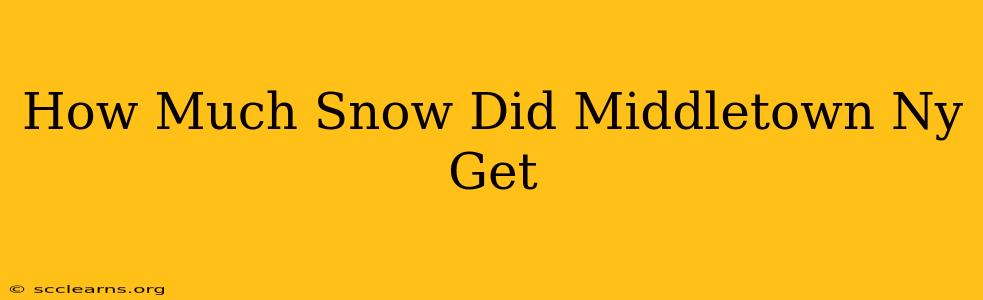 How Much Snow Did Middletown Ny Get