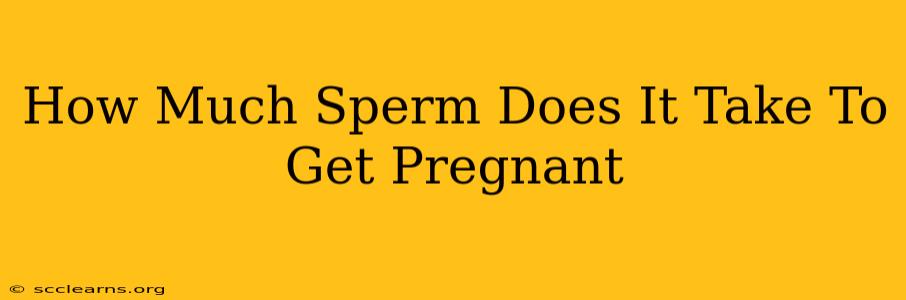 How Much Sperm Does It Take To Get Pregnant