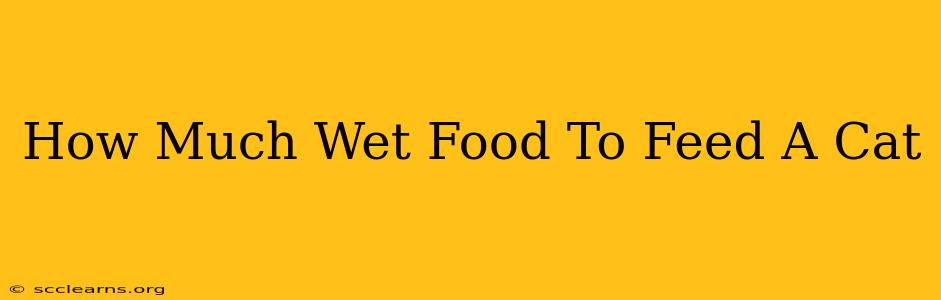 How Much Wet Food To Feed A Cat