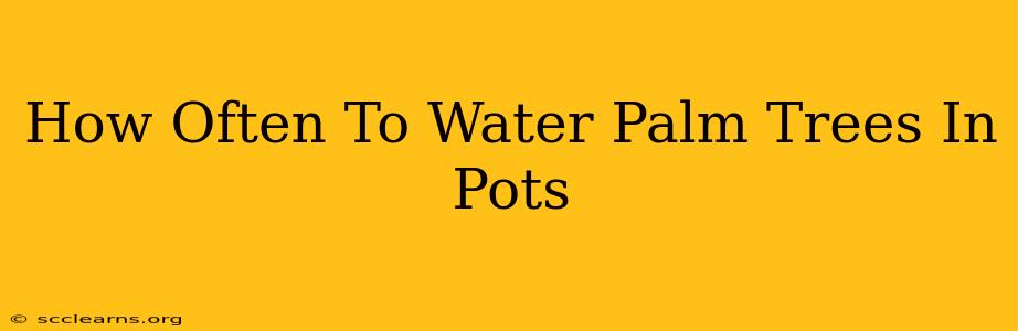 How Often To Water Palm Trees In Pots