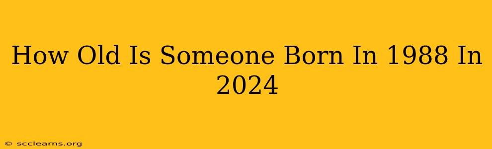 How Old Is Someone Born In 1988 In 2024