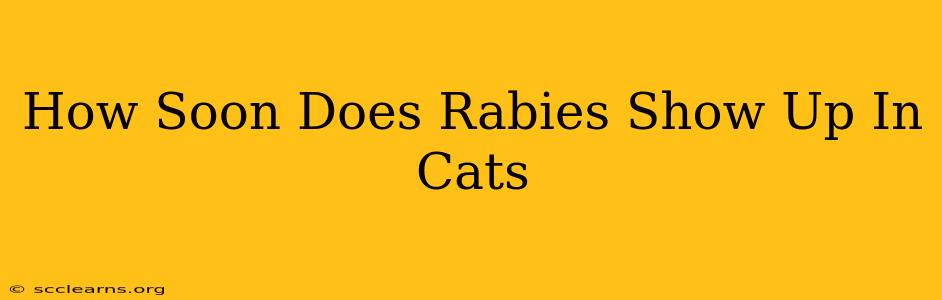 How Soon Does Rabies Show Up In Cats