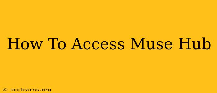 How To Access Muse Hub