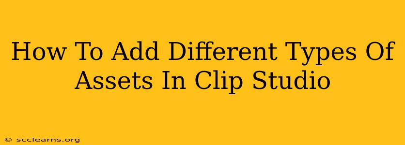 How To Add Different Types Of Assets In Clip Studio