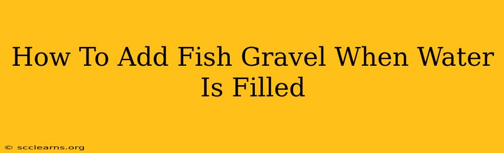 How To Add Fish Gravel When Water Is Filled