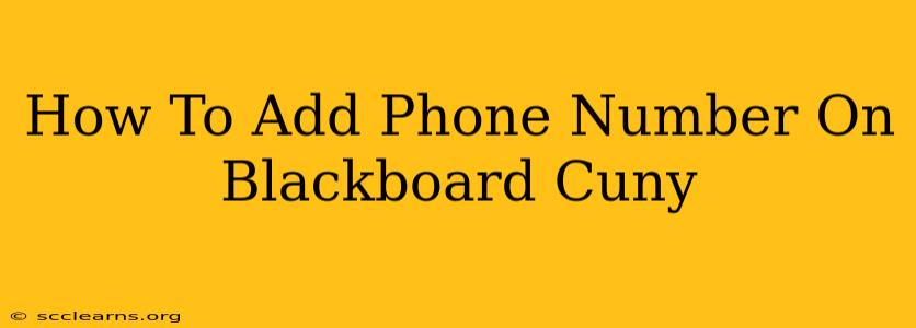 How To Add Phone Number On Blackboard Cuny