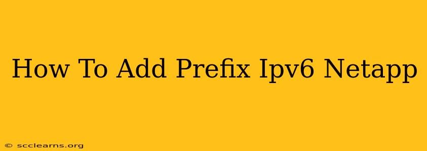 How To Add Prefix Ipv6 Netapp