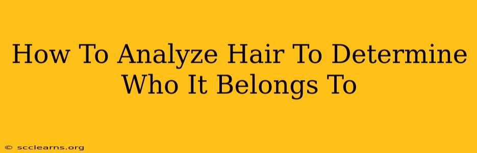 How To Analyze Hair To Determine Who It Belongs To