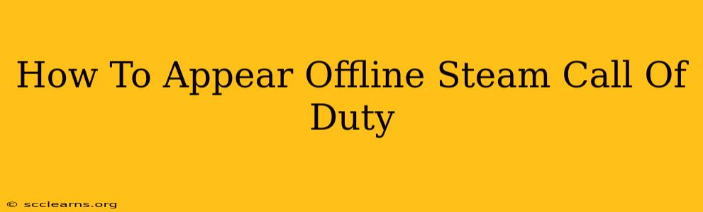 How To Appear Offline Steam Call Of Duty