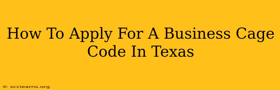 How To Apply For A Business Cage Code In Texas