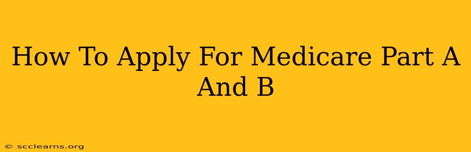 How To Apply For Medicare Part A And B