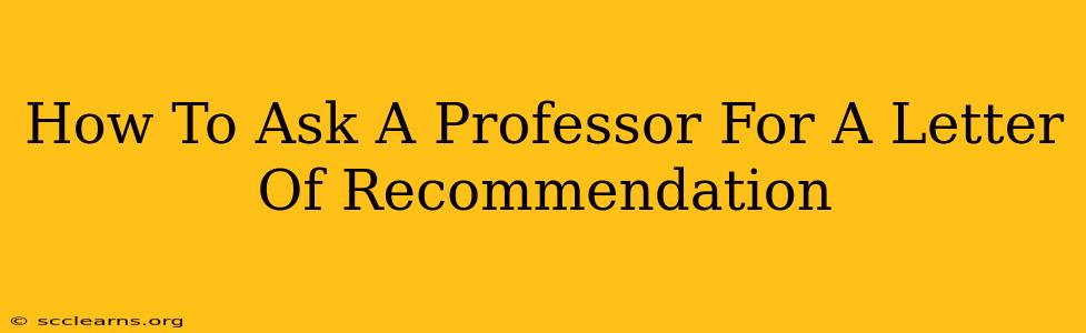 How To Ask A Professor For A Letter Of Recommendation