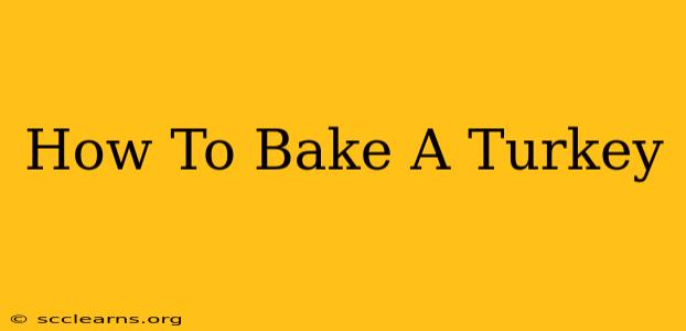 How To Bake A Turkey