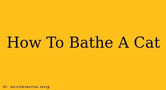 How To Bathe A Cat