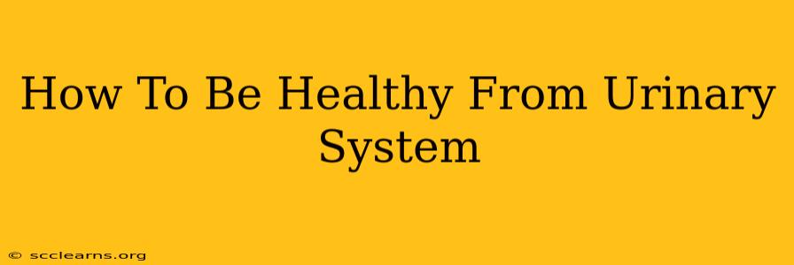 How To Be Healthy From Urinary System