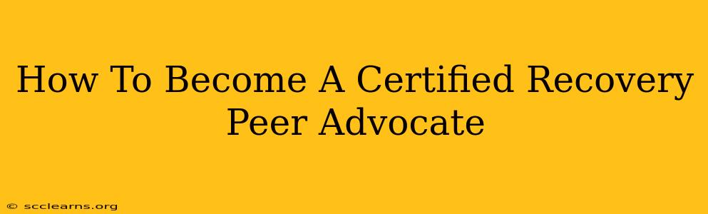 How To Become A Certified Recovery Peer Advocate