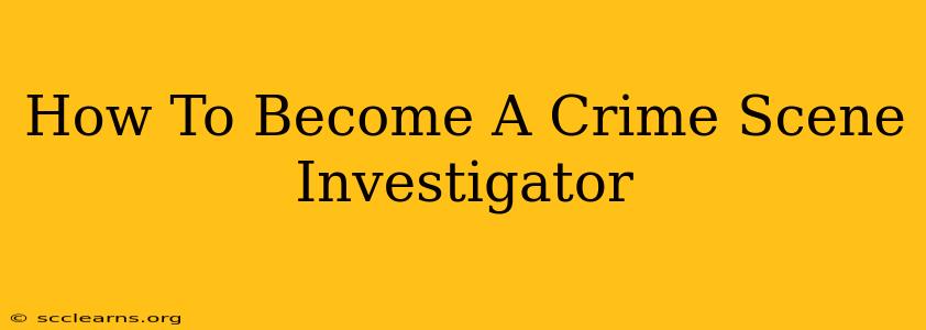 How To Become A Crime Scene Investigator