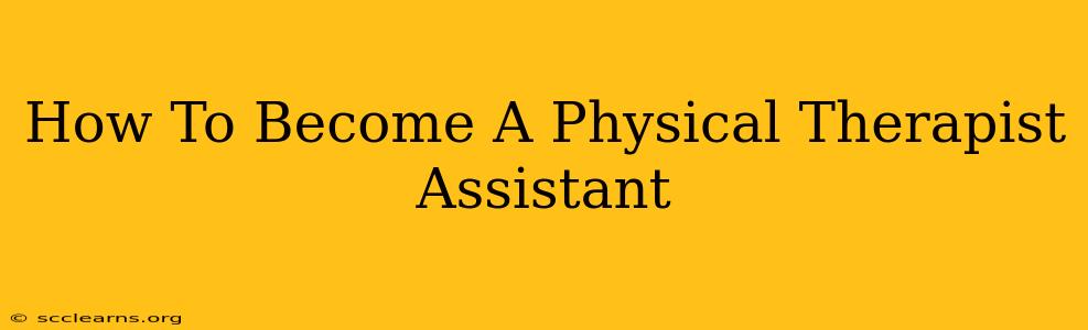 How To Become A Physical Therapist Assistant