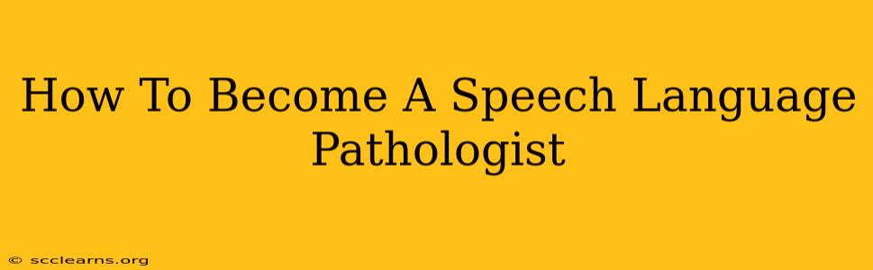 How To Become A Speech Language Pathologist