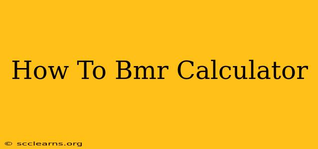 How To Bmr Calculator