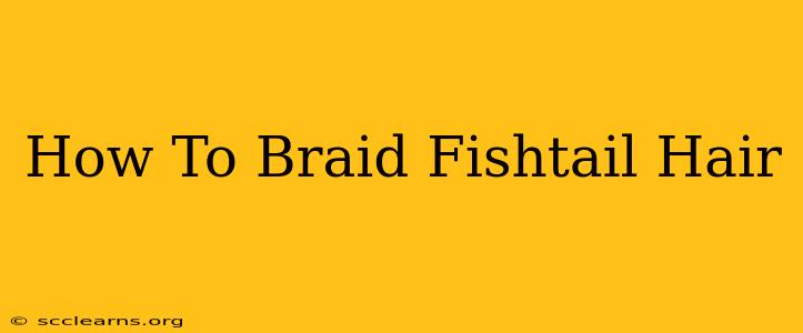 How To Braid Fishtail Hair