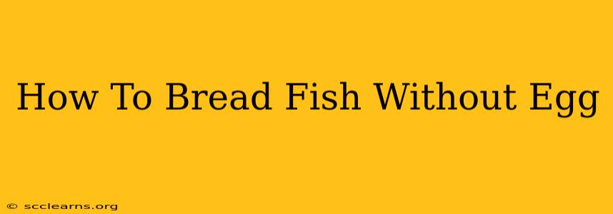 How To Bread Fish Without Egg